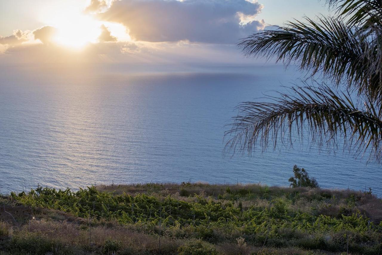 San Diego La Matanza De Acentejo Εξωτερικό φωτογραφία